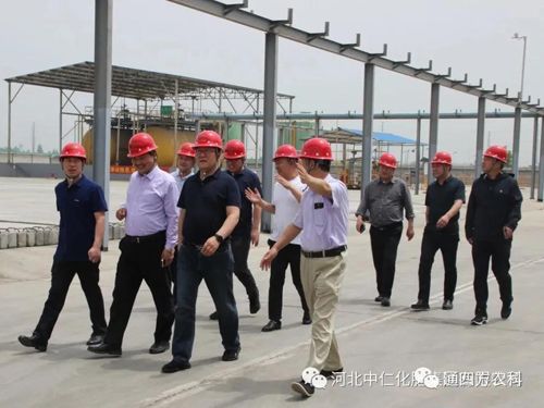 �_���h�I(l��ng)��(d��o)�W�R���ʼ��F(tu��n)����ָ��(d��o)