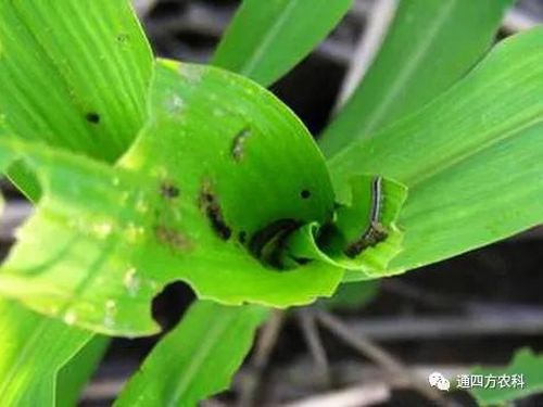 ���הQ����ô�k����ץ�o��Q��(hu��)Ӱ푮a(ch��n)��!!!